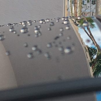 Aerial view of flooded street with parked cars and palm tree near waterfront